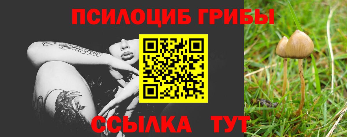 Псилоцибиновые грибы мухоморы Усинск